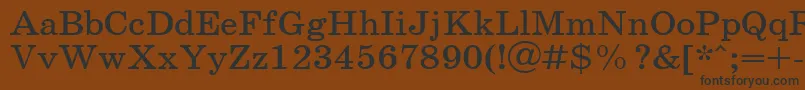 SchoolPlain.001.001110n Font – Black Fonts on Brown Background