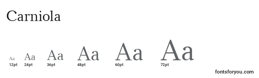 Размеры шрифта Carniola