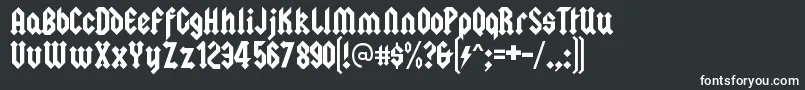 SquealerRegular Font – White Fonts on Black Background