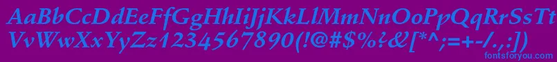 StempelschneidlerstdBdit Font – Blue Fonts on Purple Background