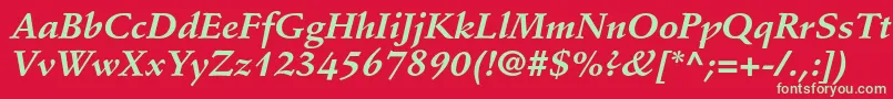 StempelschneidlerstdBdit Font – Green Fonts on Red Background