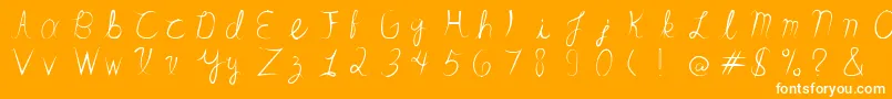 SandrinoFont Font – White Fonts on Orange Background