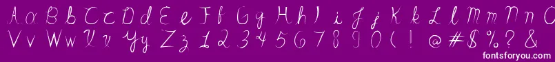SandrinoFont Font – White Fonts on Purple Background