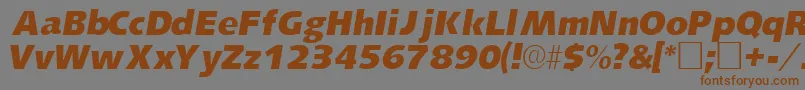 LansettesskItalic Font – Brown Fonts on Gray Background