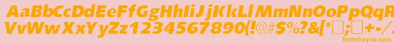 LansettesskItalic Font – Orange Fonts on Pink Background