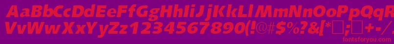 LansettesskItalic Font – Red Fonts on Purple Background