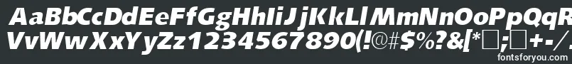 LansettesskItalic Font – White Fonts on Black Background