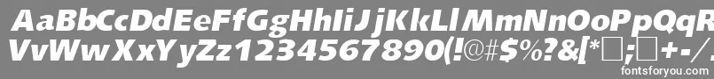 フォントLansettesskItalic – 灰色の背景に白い文字