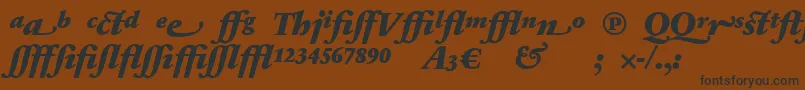 SabonnextLtBlackItalicAlternate Font – Black Fonts on Brown Background