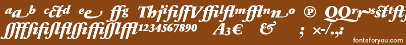 Шрифт SabonnextLtBlackItalicAlternate – белые шрифты на коричневом фоне