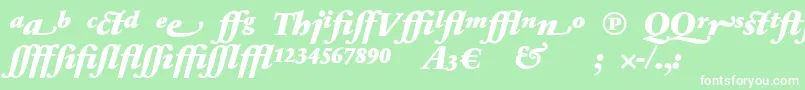 SabonnextLtBlackItalicAlternate Font – White Fonts on Green Background