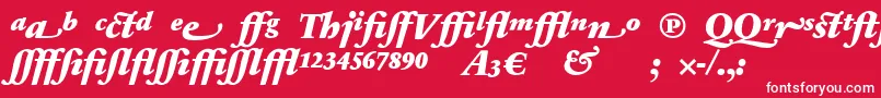 SabonnextLtBlackItalicAlternate Font – White Fonts on Red Background