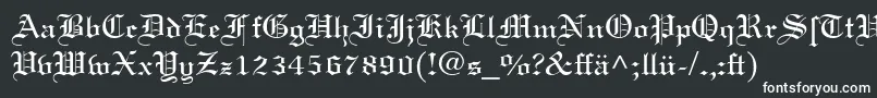 フォントLinotextDfr – 黒い背景に白い文字