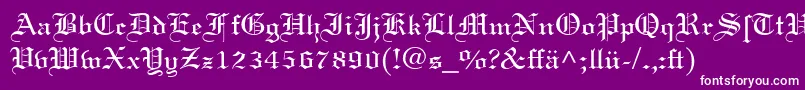 フォントLinotextDfr – 紫の背景に白い文字