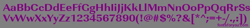 Urwimperialtextbolextwid Font – Purple Fonts on Gray Background