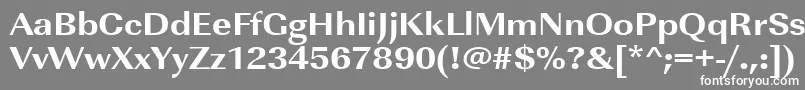 Urwimperialtextbolextwid Font – White Fonts on Gray Background