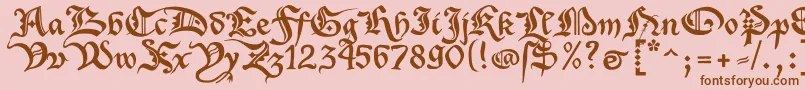 XenippaRegular Font – Brown Fonts on Pink Background