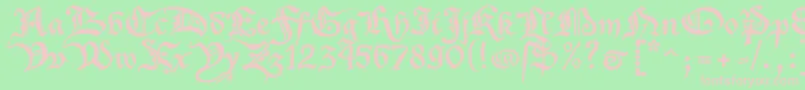 XenippaRegular Font – Pink Fonts on Green Background