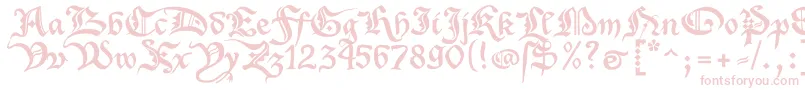 XenippaRegular Font – Pink Fonts on White Background