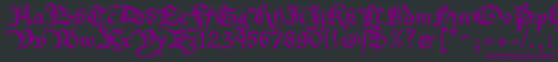XenippaRegular Font – Purple Fonts on Black Background