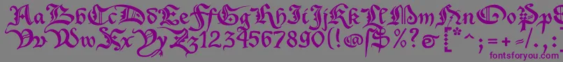 XenippaRegular Font – Purple Fonts on Gray Background