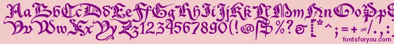 XenippaRegular Font – Purple Fonts on Pink Background
