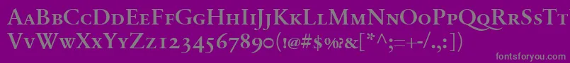 フォントSabonnextLtDemiSmallCaps – 紫の背景に灰色の文字