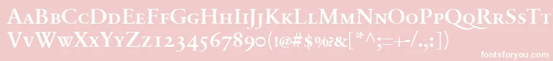 フォントSabonnextLtDemiSmallCaps – ピンクの背景に白い文字