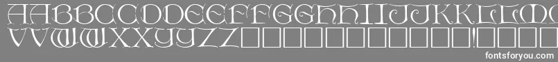 フォントDietercaps – 灰色の背景に白い文字