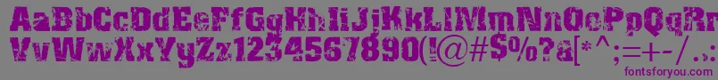 Distress Font – Purple Fonts on Gray Background