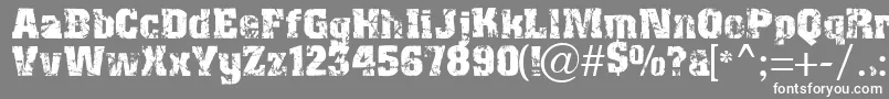 フォントDistress – 灰色の背景に白い文字