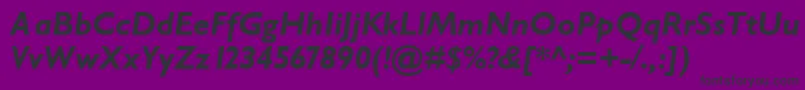 GarrisonSansBolditalic Font – Black Fonts on Purple Background