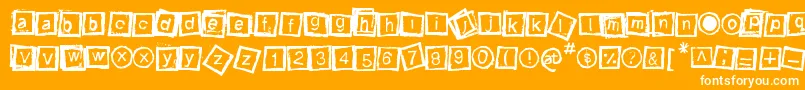 Bloktype Font – White Fonts on Orange Background