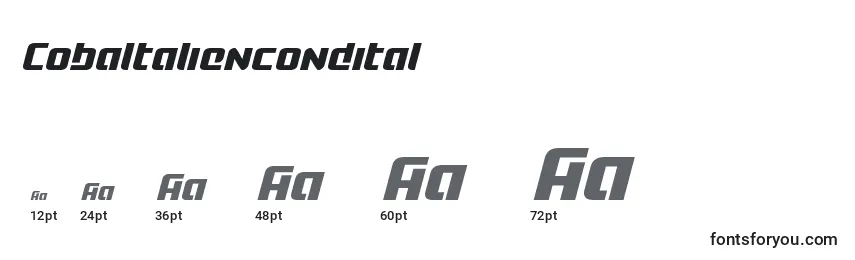 Cobaltaliencondital Font Sizes
