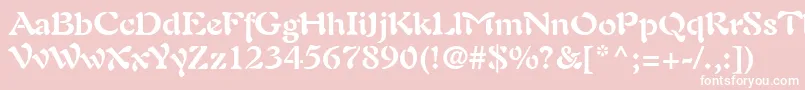 PaletteSsiBold Font – White Fonts on Pink Background
