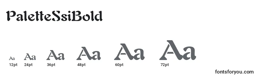 PaletteSsiBold Font Sizes