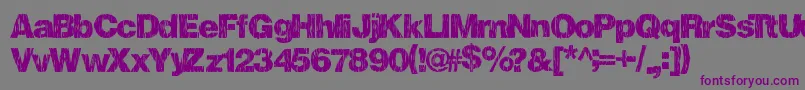 Fallharvest Font – Purple Fonts on Gray Background