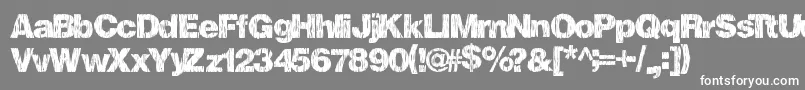 Fallharvest Font – White Fonts on Gray Background