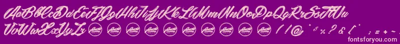 SnowballsCityPersonaluseonly Font – Pink Fonts on Purple Background