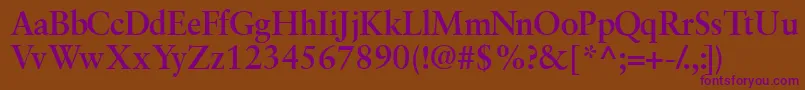 GaramondretrospectivesskBold Font – Purple Fonts on Brown Background