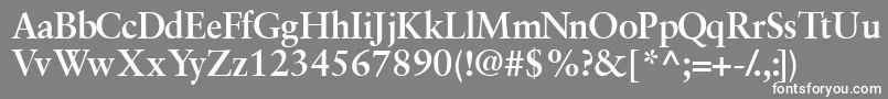 フォントGaramondretrospectivesskBold – 灰色の背景に白い文字