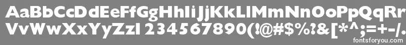 Gimletblackssk Font – White Fonts on Gray Background