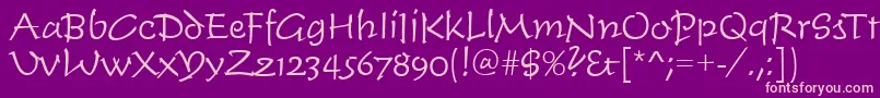 TiogascriptLightRegular Font – Pink Fonts on Purple Background