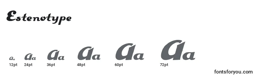 Размеры шрифта Estenotype