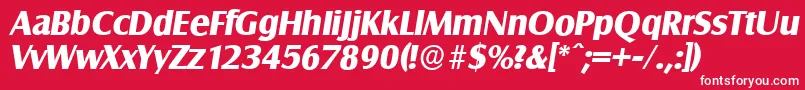SalzburgserialXboldItalic Font – White Fonts on Red Background