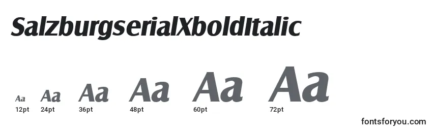 Размеры шрифта SalzburgserialXboldItalic