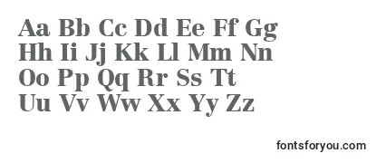 Обзор шрифта LinotypeCentennialLt95Black