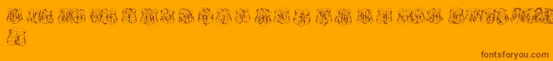 More about HardToReadMonogramsTwo Font HardToReadMonogramsTwo Font – Brown Fonts on Orange Background