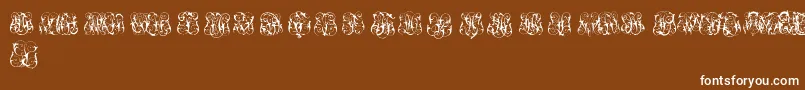 fuente HardToReadMonogramsTwo – Fuentes Blancas Sobre Fondo Marrón