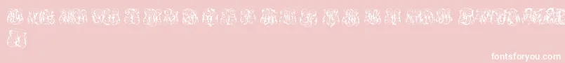 fuente HardToReadMonogramsTwo – Fuentes Blancas Sobre Fondo Rosa